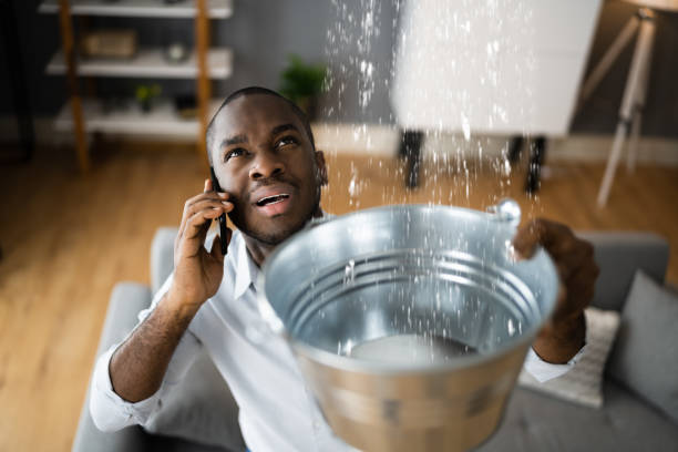 Best Professional water damage repair  in Falls Church, VA