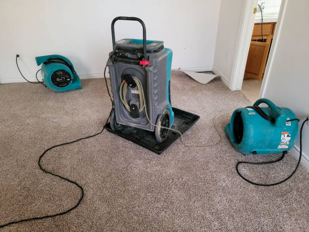 Best Flood damage cleanup  in Falls Church, VA