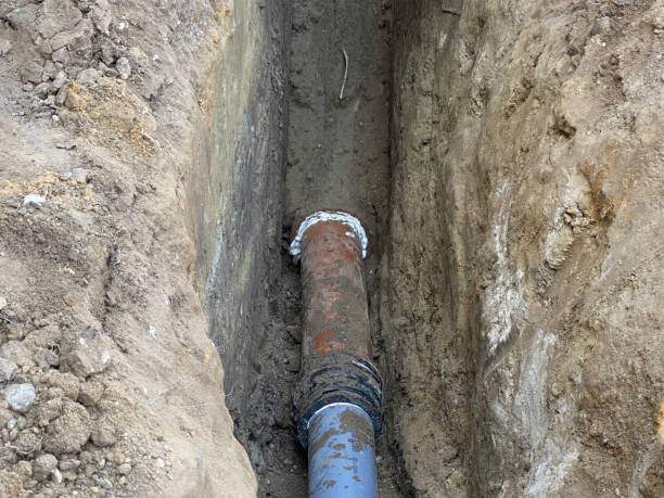 Best Flood damage cleanup  in Falls Church, VA