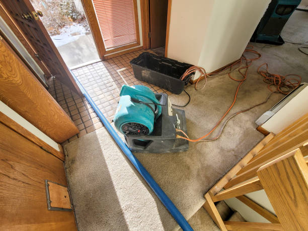 Best Water damage contractors near me  in Falls Church, VA