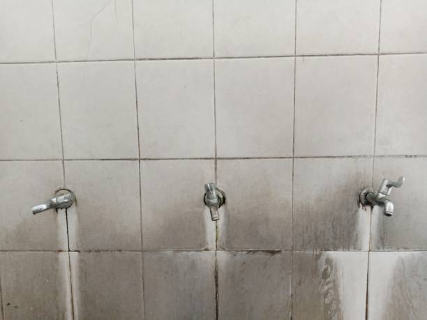Best Mold removal after water damage  in Falls Church, VA